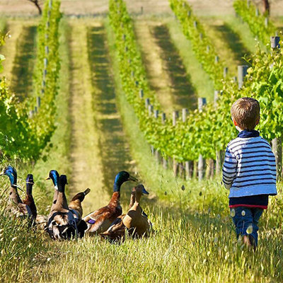 Quality - Winery Within a Winery